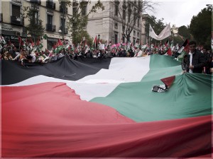 Manifestación palestina bandera gigante. Fotografía de Milena Martínez, fotógrafa en Madrid