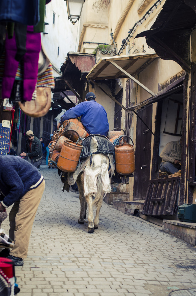 Butanero, cargando el butano a lomos de un asno en Fes, Marruecos. Milena Martínez, fotógrafa en Madrid.